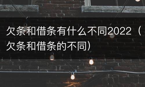 欠条和借条有什么不同2022（欠条和借条的不同）