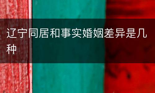 辽宁同居和事实婚姻差异是几种