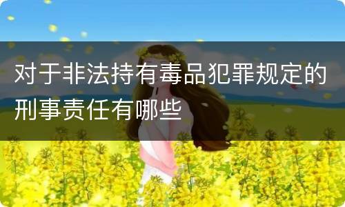 对于非法持有毒品犯罪规定的刑事责任有哪些