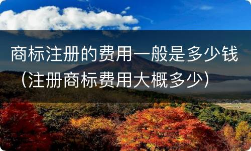 商标注册的费用一般是多少钱（注册商标费用大概多少）