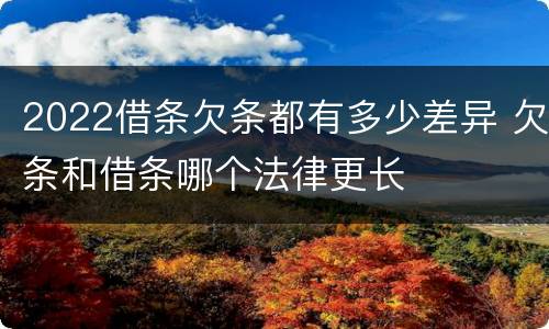 2022借条欠条都有多少差异 欠条和借条哪个法律更长
