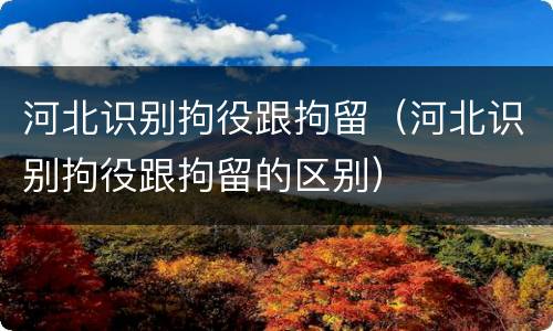 河北识别拘役跟拘留（河北识别拘役跟拘留的区别）