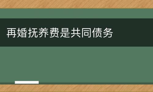 再婚抚养费是共同债务