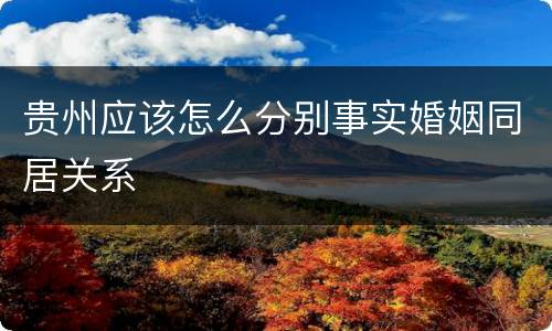 贵州应该怎么分别事实婚姻同居关系