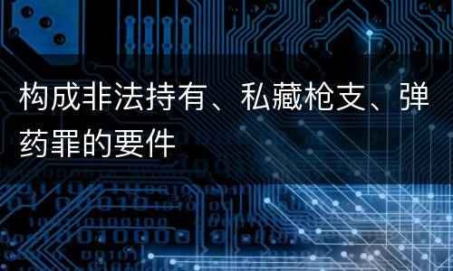 构成非法持有、私藏枪支、弹药罪的要件