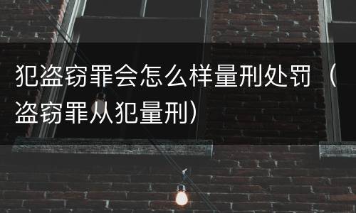 犯盗窃罪会怎么样量刑处罚（盗窃罪从犯量刑）