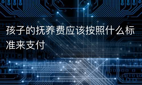 孩子的抚养费应该按照什么标准来支付