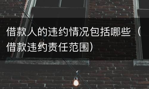 借款人的违约情况包括哪些（借款违约责任范围）
