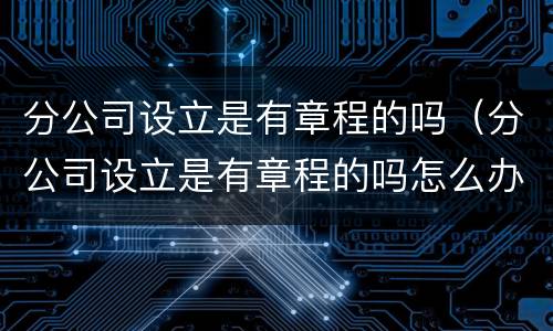 分公司设立是有章程的吗（分公司设立是有章程的吗怎么办）