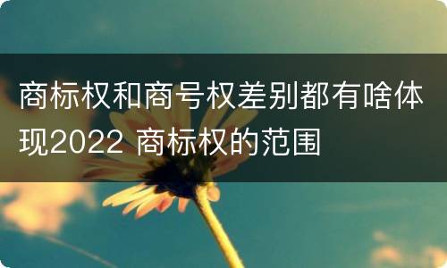 商标权和商号权差别都有啥体现2022 商标权的范围