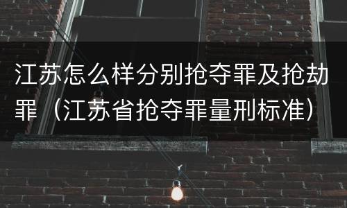 江苏怎么样分别抢夺罪及抢劫罪（江苏省抢夺罪量刑标准）