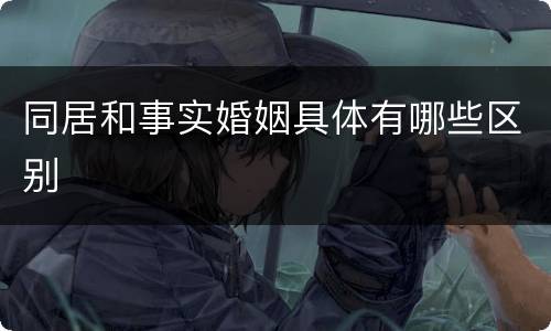 同居和事实婚姻具体有哪些区别