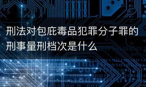 刑法对包庇毒品犯罪分子罪的刑事量刑档次是什么