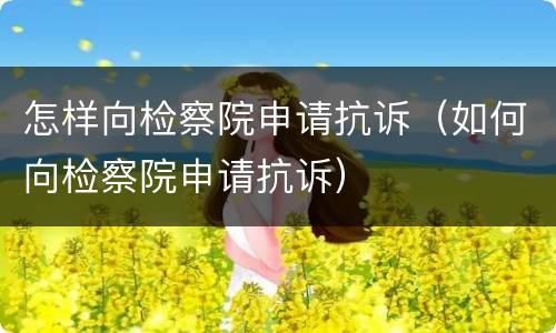 怎样向检察院申请抗诉（如何向检察院申请抗诉）