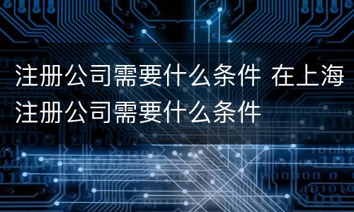 注册公司需要什么条件 在上海注册公司需要什么条件