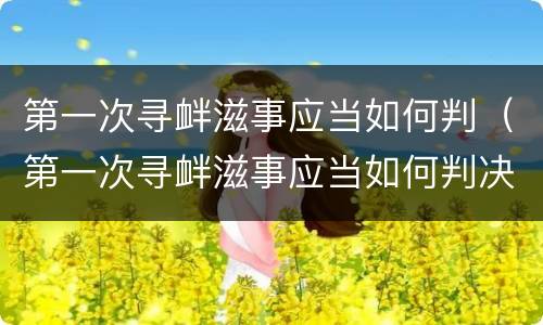 第一次寻衅滋事应当如何判（第一次寻衅滋事应当如何判决）