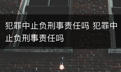 犯罪中止负刑事责任吗 犯罪中止负刑事责任吗