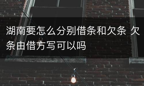 湖南要怎么分别借条和欠条 欠条由借方写可以吗