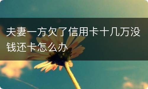 夫妻一方欠了信用卡十几万没钱还卡怎么办