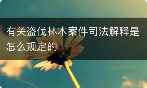 有关盗伐林木案件司法解释是怎么规定的