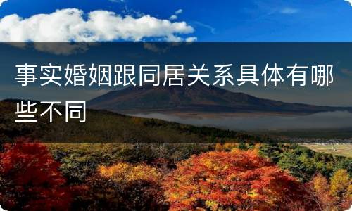 事实婚姻跟同居关系具体有哪些不同