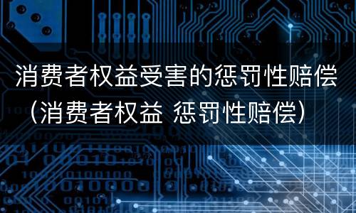 消费者权益受害的惩罚性赔偿（消费者权益 惩罚性赔偿）