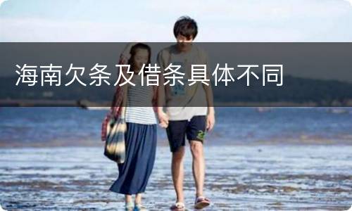 海南欠条及借条具体不同