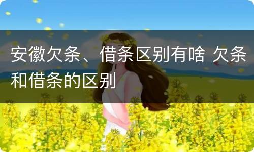 安徽欠条、借条区别有啥 欠条和借条的区别