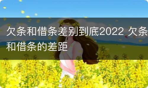 欠条和借条差别到底2022 欠条和借条的差距