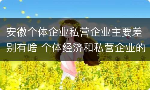 安徽个体企业私营企业主要差别有啥 个体经济和私营企业的区别