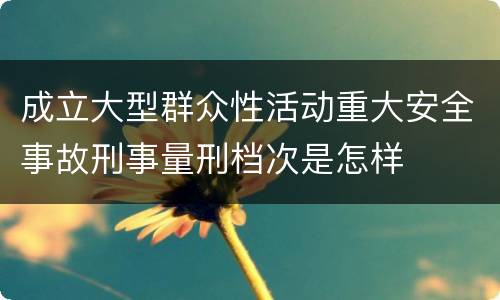 成立大型群众性活动重大安全事故刑事量刑档次是怎样