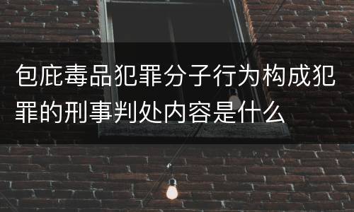 包庇毒品犯罪分子行为构成犯罪的刑事判处内容是什么