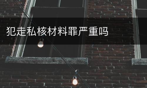犯走私核材料罪严重吗