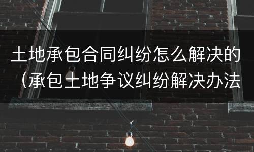 土地承包合同纠纷怎么解决的（承包土地争议纠纷解决办法）