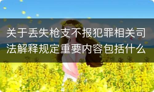 关于丢失枪支不报犯罪相关司法解释规定重要内容包括什么