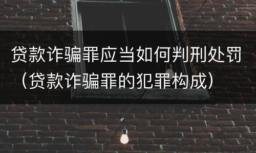 贷款诈骗罪应当如何判刑处罚（贷款诈骗罪的犯罪构成）