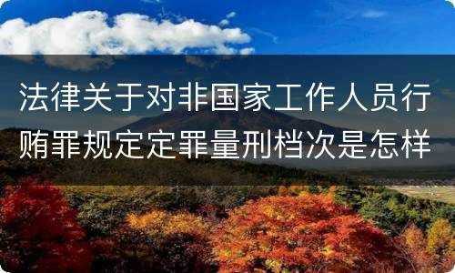 法律关于对非国家工作人员行贿罪规定定罪量刑档次是怎样