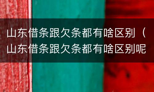 山东借条跟欠条都有啥区别（山东借条跟欠条都有啥区别呢）