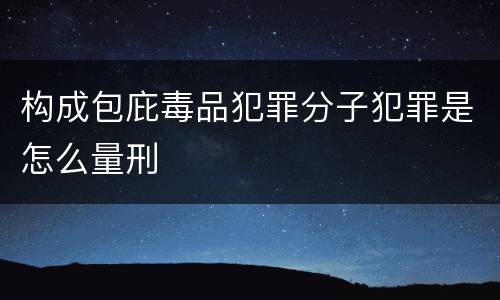 构成包庇毒品犯罪分子犯罪是怎么量刑