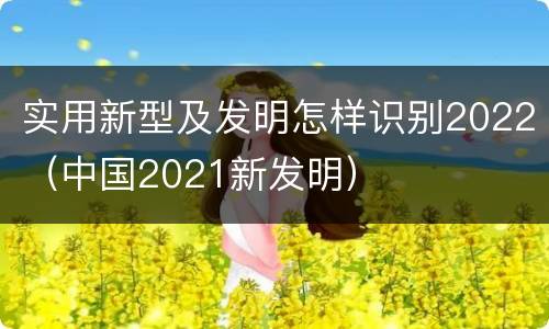 实用新型及发明怎样识别2022（中国2021新发明）