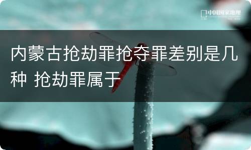 内蒙古抢劫罪抢夺罪差别是几种 抢劫罪属于