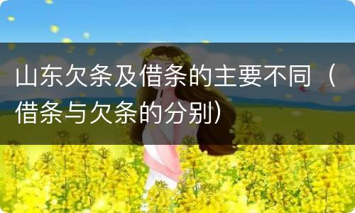 山东欠条及借条的主要不同（借条与欠条的分别）