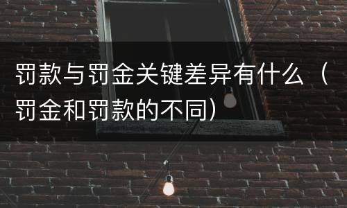 罚款与罚金关键差异有什么（罚金和罚款的不同）