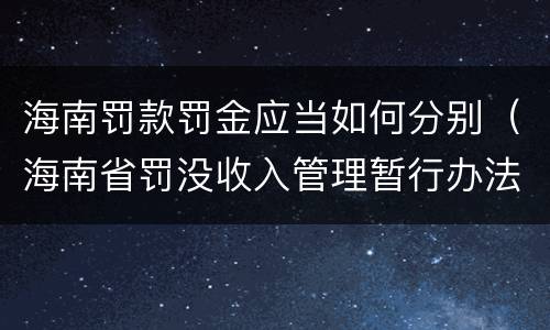 海南罚款罚金应当如何分别（海南省罚没收入管理暂行办法）