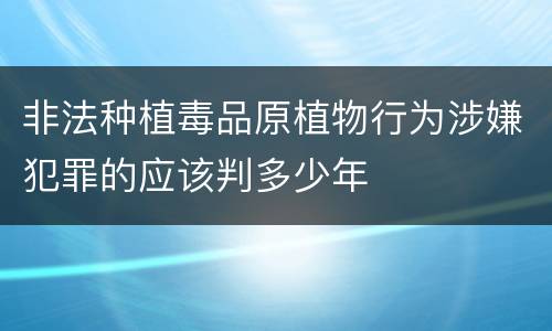 非法种植毒品原植物行为涉嫌犯罪的应该判多少年