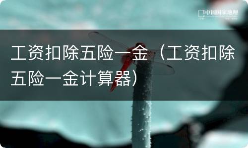 工资扣除五险一金（工资扣除五险一金计算器）