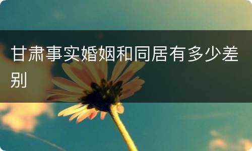 甘肃事实婚姻和同居有多少差别