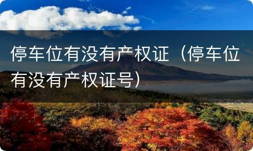 停车位有没有产权证（停车位有没有产权证号）