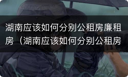 湖南应该如何分别公租房廉租房（湖南应该如何分别公租房廉租房呢）