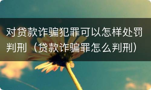 对贷款诈骗犯罪可以怎样处罚判刑（贷款诈骗罪怎么判刑）